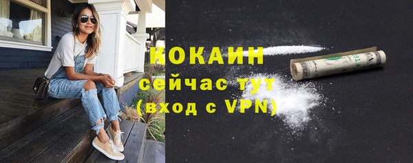 PSILOCYBIN Абаза