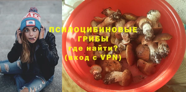 PSILOCYBIN Абаза