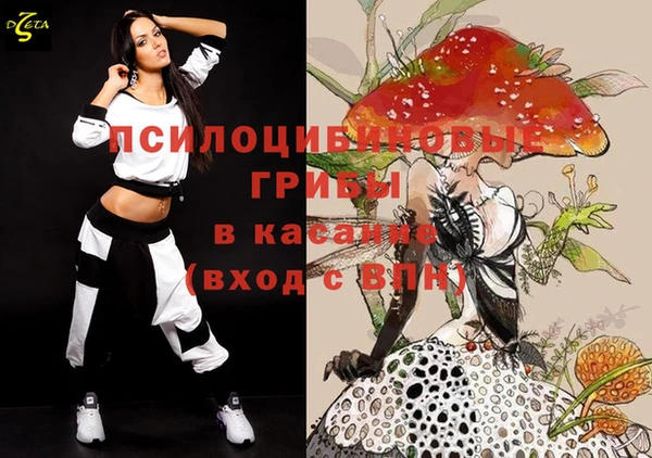 соль ск Алексеевка
