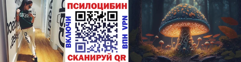 где купить наркотик  Новопавловск  дарк нет наркотические препараты  Псилоцибиновые грибы Psilocybe 